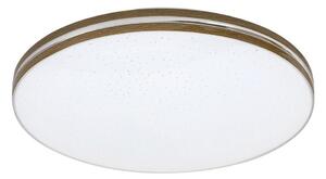 Rabalux 3345 - Plafoniera LED OSCAR LED/18W/230V