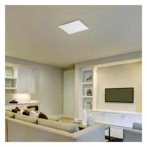 Rabalux 3429 - Plafoniera LED PAVEL LED/18W/230V