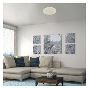 Rabalux 5540-LED Plafoniera dimmerabile DAMIEN LED/24W/230V Wi-Fi +DO