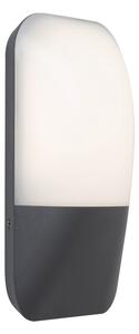 Rabalux 7996 - Applique a LED da esterno ECUADOR LED/10W/230V IP65 800lm 4000K