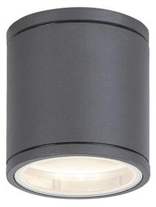 Rabalux 8150 - Plafoniera da esterno AKRON 1xGU10/35W/230V IP54