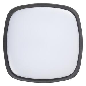 Rabalux 8797 - LED Plafoniera da esterno AUSTIN LED/20W/230V IP65