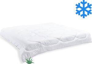 Coperta francese invernale Aloe Vera 200x200cm 1800g