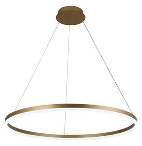 Lampadario a sospensione con filo LED dimmerabile LED/55W/230V 3000-6500K + telecomando