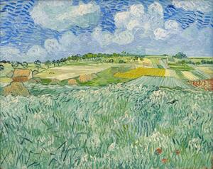 Riproduzione Plain at Auvers 1890, Vincent van Gogh