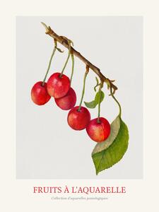 Riproduzione Cherries Watercolour Kitchen Fruit