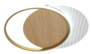 Plafoniera LED dimmerabile LED/60W/230V 3000-6500K + telecomando