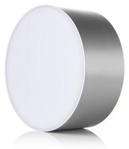 LED2 - Plafoniera LED BUTTON LED/17W/230V argento