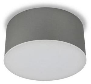 LED2 - Plafoniera LED BUTTON LED/17W/230V argento