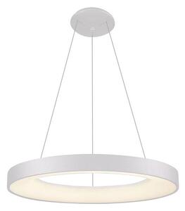 LED2 - Lampadario LED a sospensione con filo BELLA LED/50W/230V 3000K diametro 60 cm bianco