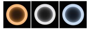 Brilagi - Lampadario LED dimmerabile a sospensione con cavo LED/40W/230V 3000-6500K grigio + telecomando