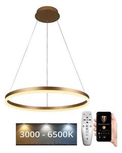 Brilagi - Lampadario a sospensione con filo LED dimmerabile CIRCLE LED/42W/230V 3000-6500K + +TC