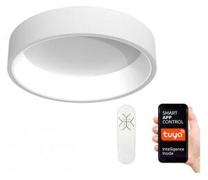 Immax NEO - Plafoniera LED dimmerabile AGUJERO LED/30W/230V + T