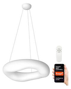 Immax NEO - Lampadario LED a sospensione con filo dimmerabile PULPO LED/60W/230V 91 cm + T