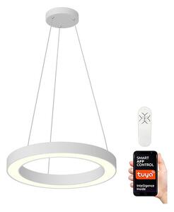 Immax NEO - Lampadario LED dimmerabile a sospensione con filo PASTEL LED/52W/230V 60 cm bianco