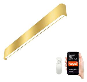 Immax NEO 07137-G - LED SMART Lampada dimmerabile LINEA LED/40W/230V + +TC 76 cm