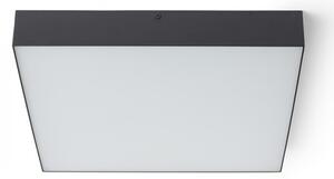 RED - Design Rendl - R13490 - Plafoniera LED LARISA LED/50W/230V nera