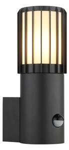 Globo 32160S - Lampada da parete esterna con sensore MERVIN 1xE27/15W/230V IP54
