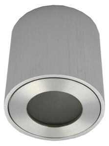 Faretto da esterno FARA 1xGU10/30W/230V IP54 argento