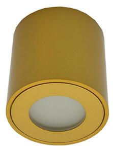 Faretto da esterno FARA 1xGU10/30W/230V IP54 oro