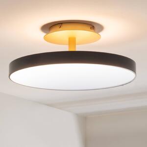 UMAGE Plafoniera di design Asteria UP PLUS, dimmerabile, Nero, Soggiorno / Sala da pranzo, Metallo, Design, Plafoniera