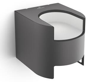 Philips 17321/93/16 - Applique da esterno GRASS 2xLED/4,5W/230V IP44