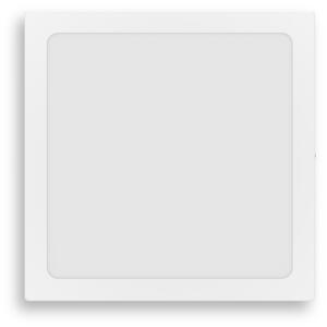 Philips - Plafoniera LED MAGNEOS LED/12W/230V 2700K bianca