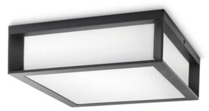 Philips - Plafoniera da esterno SKIES 2xE27/14W/230V IP44 antracite