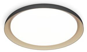 Philips - Plafoniera LED dimmerabile PEBBLO LED/10W/230V 4000K nero