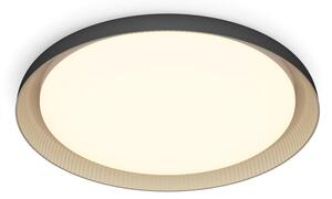 Philips - Plafoniera LED dimmerabile PEBBLO LED/10W/230V 2700K nero