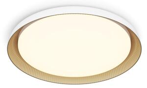 Philips - Plafoniera LED dimmerabile PEBBLO LED/10W/230V 2700K bianco