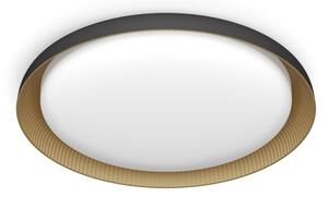 Philips - Plafoniera LED dimmerabile PEBBLO LED/10W/230V 2700K nero