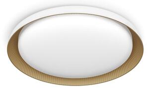 Philips - Plafoniera LED dimmerabile PEBBLO LED/10W/230V 4000K bianco