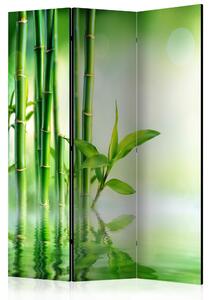 Paravento 3 Pannelli - Green Bamboo 135x172cm Erroi 135x172 cm