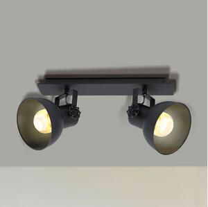 Eglo 43432 - Luce Spot BARNSTAPLE 2 2xE27/40W/230V