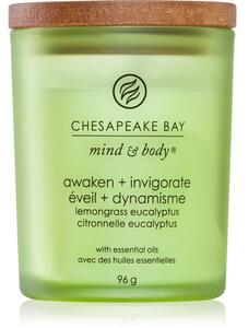 Chesapeake Bay Candle Mind & Body Awaken & Invigorate candela profumata 96 g