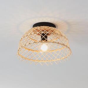 Eglo 43831 - Plafoniera AUSNBY 1xE27/40W/230V