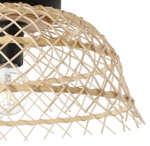 Eglo 43831 - Plafoniera AUSNBY 1xE27/40W/230V