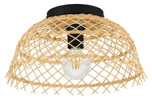 Eglo 43831 - Plafoniera AUSNBY 1xE27/40W/230V
