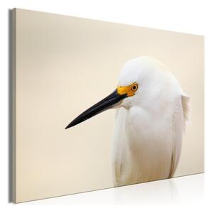 Quadro Snowy Egret (1 Part) Wide