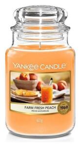 Yankee Candle - Candela profumata FARM FRESH PEACH grande 623g 110-150 ore