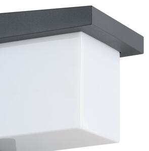 Eglo 95097 - Applique da esterno DESELLA 1 LED/10W/230V