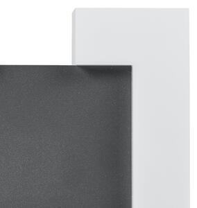 Eglo 95988 - Applique a LED da esterno SITIA 2xLED/4,8W