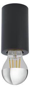 Eglo 99065 - Plafoniera SALUZZO 1xE27/40W/230V