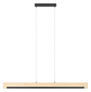 Eglo 99293 - Lampadario a sospensione con filo LED dimmerabile CAMACHO LED/25,5W/230V