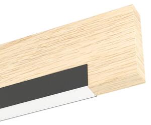 Eglo 99294 - Applique a LED CAMACHO LED/9,6W/230V