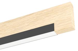 Eglo 99292 - Plafoniera LED dimmerabile CAMACHO 2xLED/10W/230V