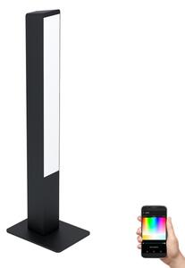 Eglo 99604 - Lampada da tavolo LED RGBW dimmerabile SIMOLARIS-Z LED/16W/230V 2700-6500K