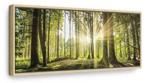 Quadro Daylight