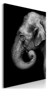 Quadro Portrait of Elephant (1 Part) Vertical
